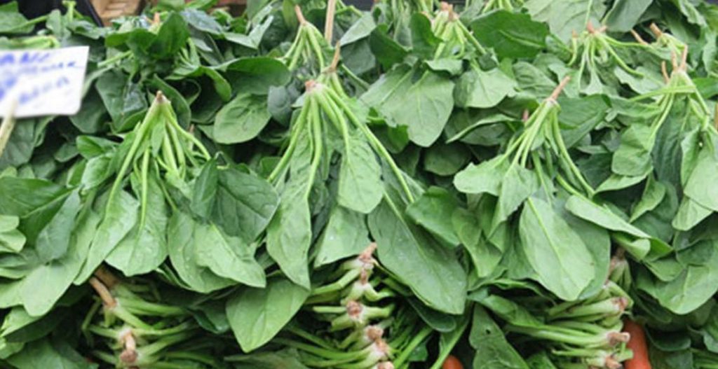 6 Kişinin Zehirlenmesine Sebep Olan Ispanakla İlgili Açıklama! 6 kisinin zehirlenmesine sebep olan ispanakla ilgili aciklama