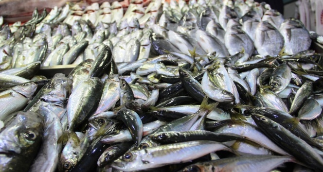 balık yağı nedir, balık yağının faydaları nelerdir?