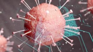 COVID–19 hastaları beyinde kafa karışıklığından koku ve tat kaybına, hayatı