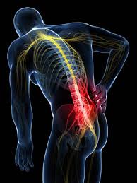 piriformis sendromu nedir?