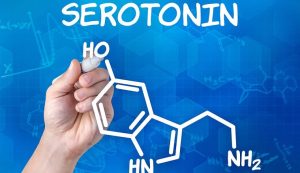 seratonin nedir2