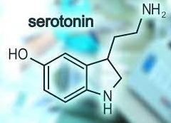 Serotonin, belirli kişilik özelliklerinde