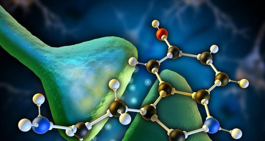 serotonin sendromu nedir