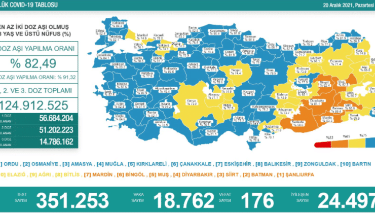 20 aralık covid-19 tablosu