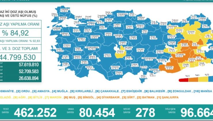 19 şubat covid-19 tablosu