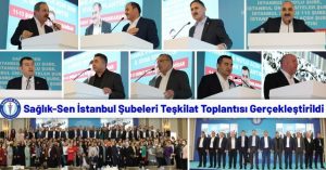 Sağlık-Sen İstanbul Şubeleri Teşkilat Toplantısı Gerçekleştirildi