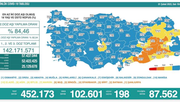 1 şubat covid-19 tablosu