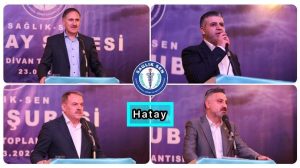 Sağlık-Sen Hatay Şubesi İl Divan Toplantısı Gerçekleştirildi