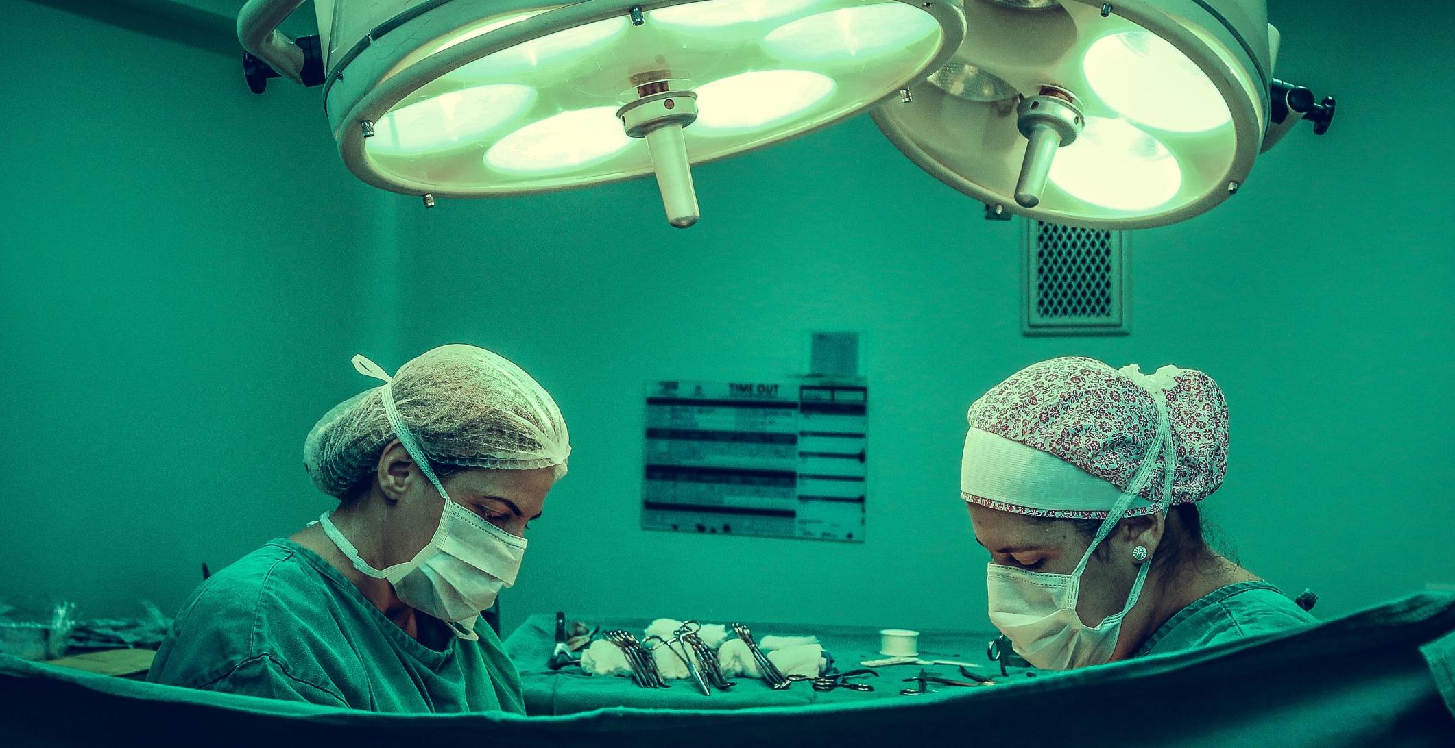 plastik cerrahi uzmanlarina kadavra uzerinde egitim verildi