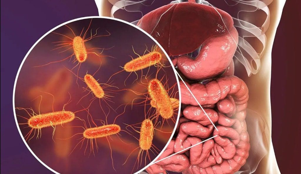 Yetersiz Beslenme Gençlerde İnflamatuar Bağırsak Hastalıklarını Arttırıyor! Yetersiz Beslenme Gençlerde İnflamatuar Bağırsak Hastalıklarını Arttırıyor!