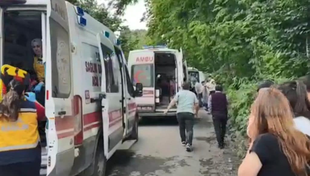 akademisyenleri tasiyan minibus kaza yapti prof. dr. siddik korkmaz hayatini kaybetti