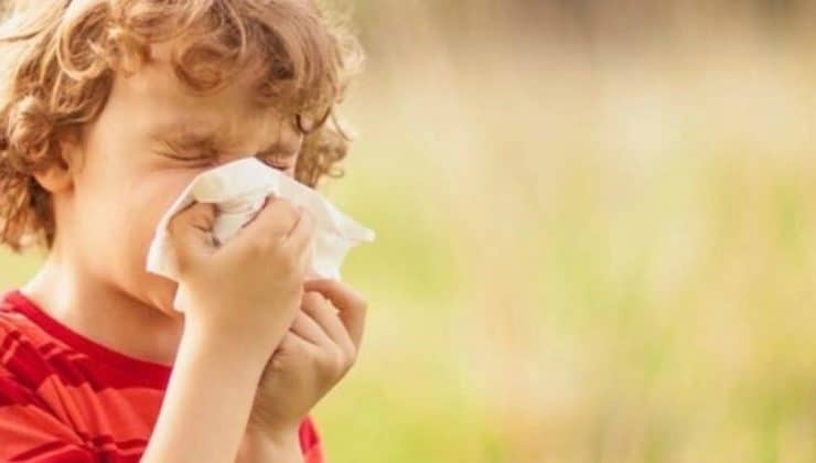 alerji neden olur? alerji testi nasıl yapılır? 