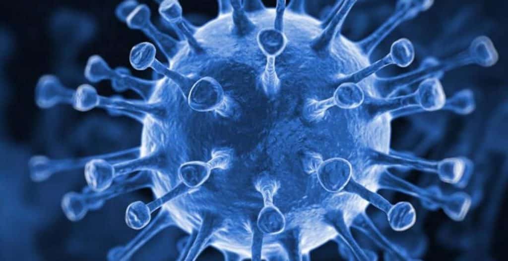 Japonya'da BA.2.75 Tespit Edildi japonya8217da ba.2.75 tespit edildi