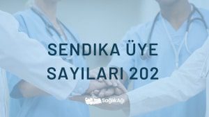 Sendika Üye Sayıları 2022