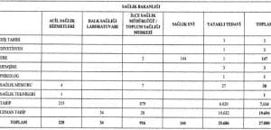 Sözleşmeli Sağlık Personeli İstihdamına İlişkin Cumhurbaşkanlığı Kararı