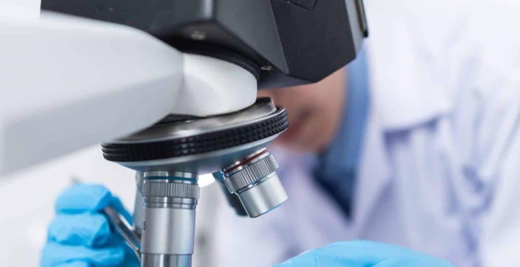 Nijerya'da Sarı Humma Salgını nijerya8217da sari humma salgini