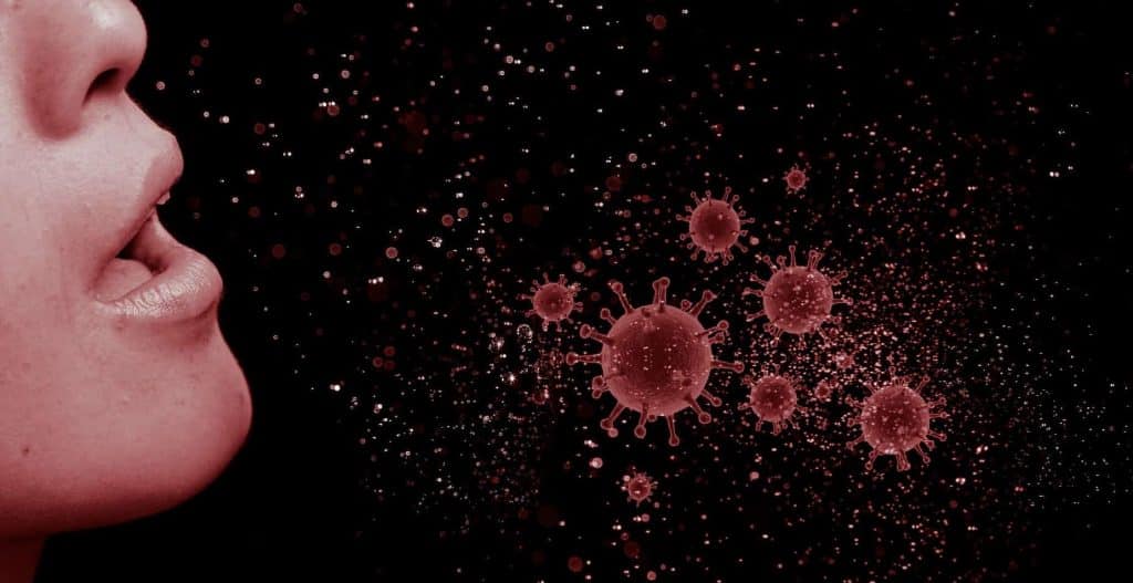 Namibya’da 54 Domuz Gribi Olgusuna Rastlandıldı