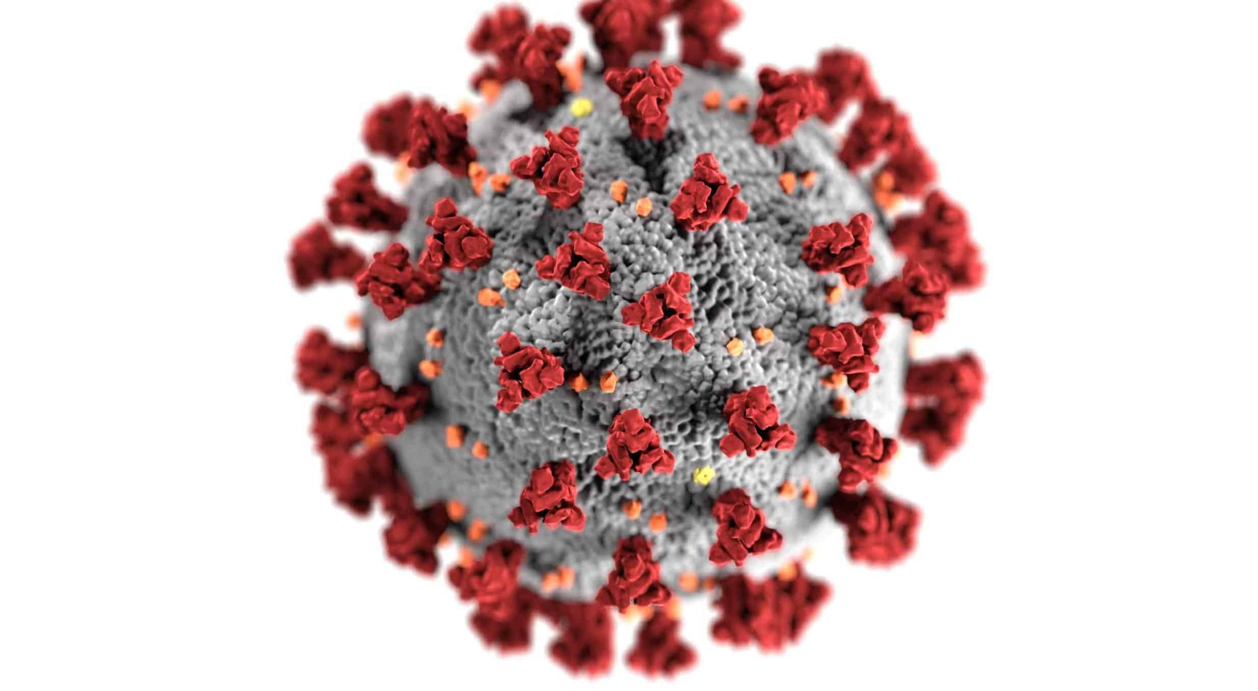 gizemli hepatit virusu nedir