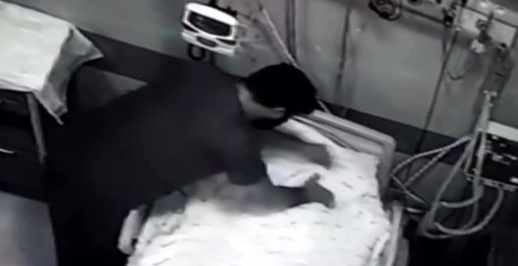 Tokat'ta Şiddet Gören Hastanın İtiraz Etmesiyle Soruşturma Tekrar Başladı
