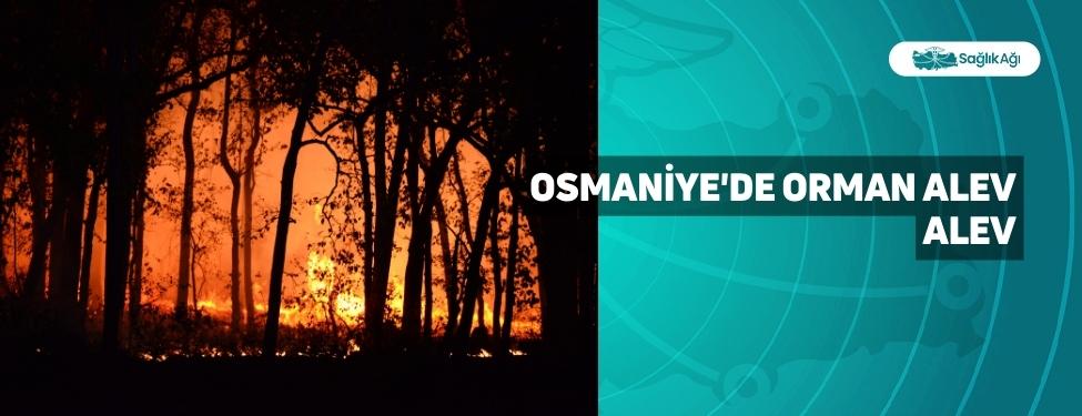 osmaniyede-orman-alev-alev