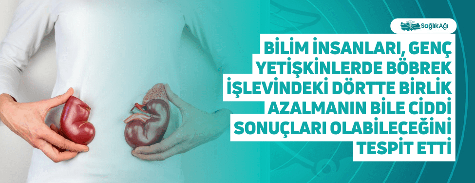 Kanadalı bilim insanları, böbrek işlevinin yaklaşık dörtte birinin kaybında bile,