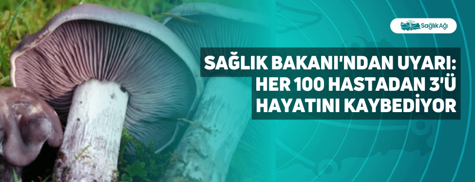 Sağlık Bakanı Fahrettin Koca, mantar zehirlenmelerinde her 100 hastadan 3’ünün
