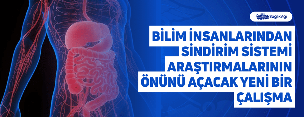 “Nature Communications” dergisinde yayımlanan araştırmaya göre, ABD’li bilim insanları, bağırsak