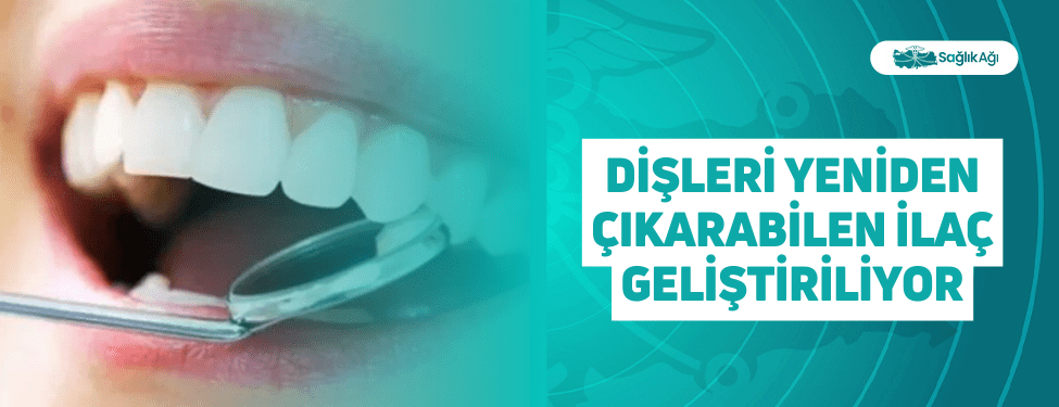 Dişleri Yeniden Çıkarabilen İlaç Geliştiriliyor