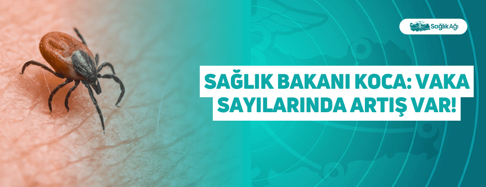 sağlık bakanı koca: vaka sayılarında artış var!