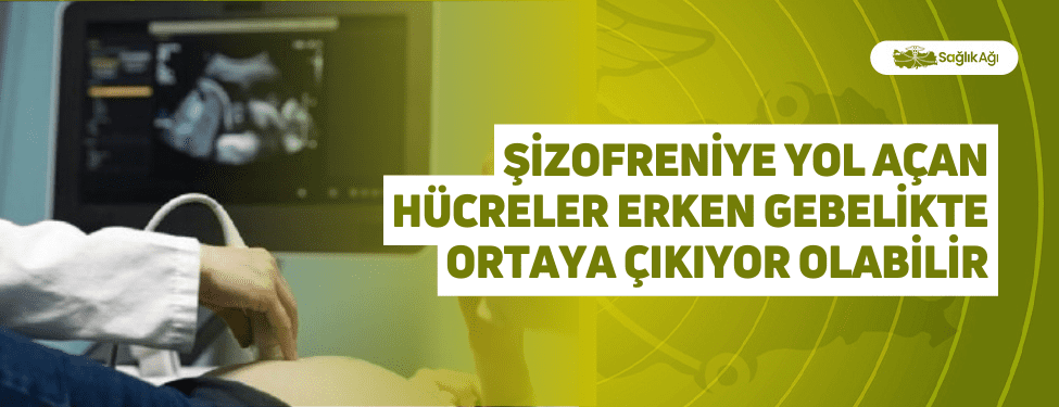 Şizofreniye Yol Açan Hücreler Erken Gebelikte Ortaya Çıkıyor Olabilir