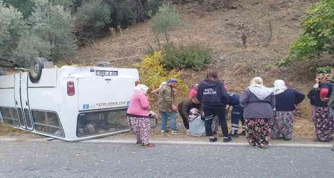 Alınan bilgilerce, zeytin bahçesinde