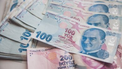 merkez bankası başkanı erkan'dan türk lirası varlıklarına i̇lişkin açıklama