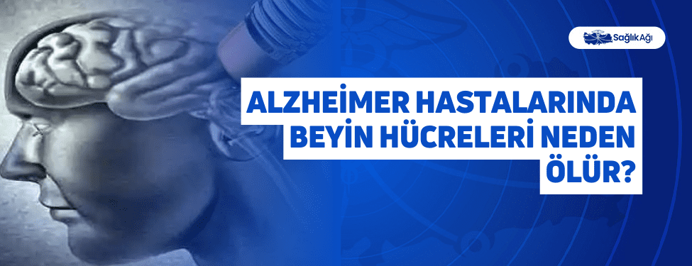 Alzheimer Hastalarında Beyin Hücreleri Neden Ölür?