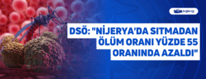 DSÖ: “Nijerya’da Sıtmadan Ölüm Oranı Yüzde 55 Oranında Azaldı”