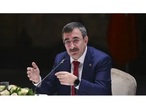 Cumhurbaşkanı Yardımcısı Yılmaz: “Seyyanen Artış Nedeniyle Fark Oluştu”