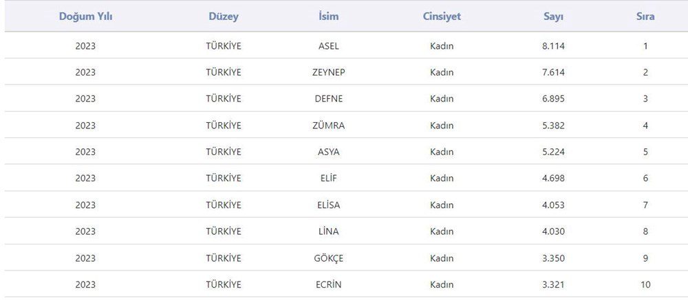 Türkiye'nin En Popüler Bebek İsimleri Belli Oldu: 8 Bin Bebeğe Aynı İsim Verildi