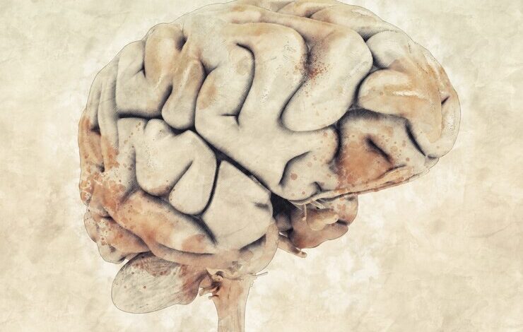 'antik beyin' arşivi bugünkü akıl hastalıklarının sebebine işık tutacak
