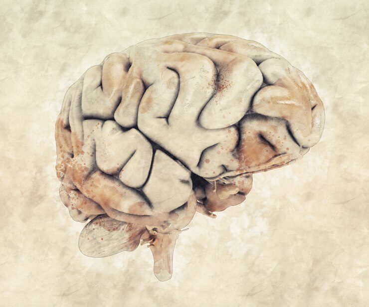 'Antik Beyin' Arşivi Bugünkü Akıl Hastalıklarının Sebebine Işık Tutacak