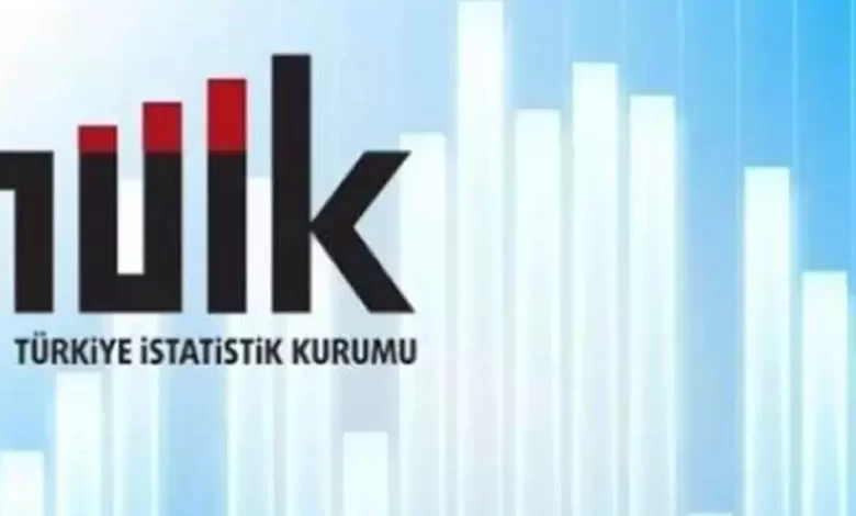 tüi̇k, sözleşmeli personel alım i̇lanı yayımladı