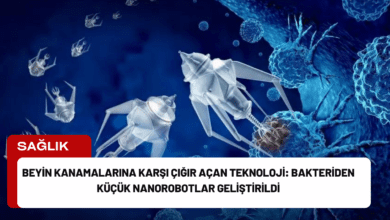 beyin kanamalarına karşı çığır açan teknoloji: bakteriden küçük nanorobotlar geliştirildi