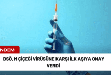 dsö, m çiçeği virüsüne karşı i̇lk aşıya onay verdi