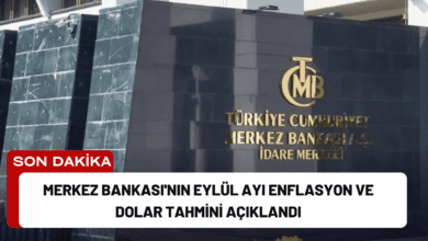 merkez bankası'nın eylül ayı enflasyon ve dolar tahmini açıklandı