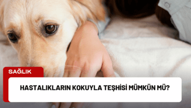 hastalıkların kokuyla teşhisi mümkün mü?