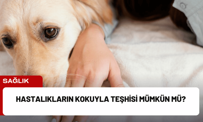 hastalıkların kokuyla teşhisi mümkün mü?