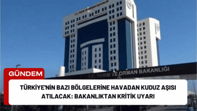 türkiye'nin bazı bölgelerine havadan kuduz aşısı atılacak: bakanlıktan kritik uyarı