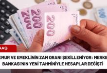 memur ve emeklinin zam oranı şekilleniyor: merkez bankası'nın yeni tahminiyle hesaplar değişti