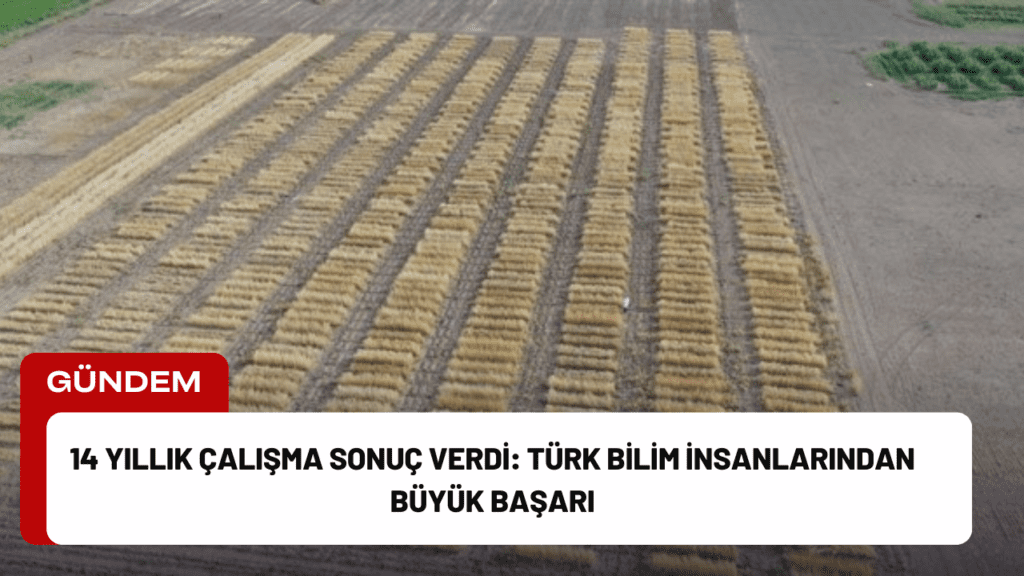 14 Yıllık Çalışma Sonuç Verdi: Türk Bilim İnsanlarından Büyük Başarı 14 Yıllık Çalışma Sonuç Verdi: Türk Bilim İnsanlarından Büyük Başarı