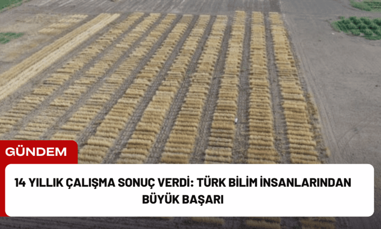 14 yıllık çalışma sonuç verdi: türk bilim i̇nsanlarından büyük başarı