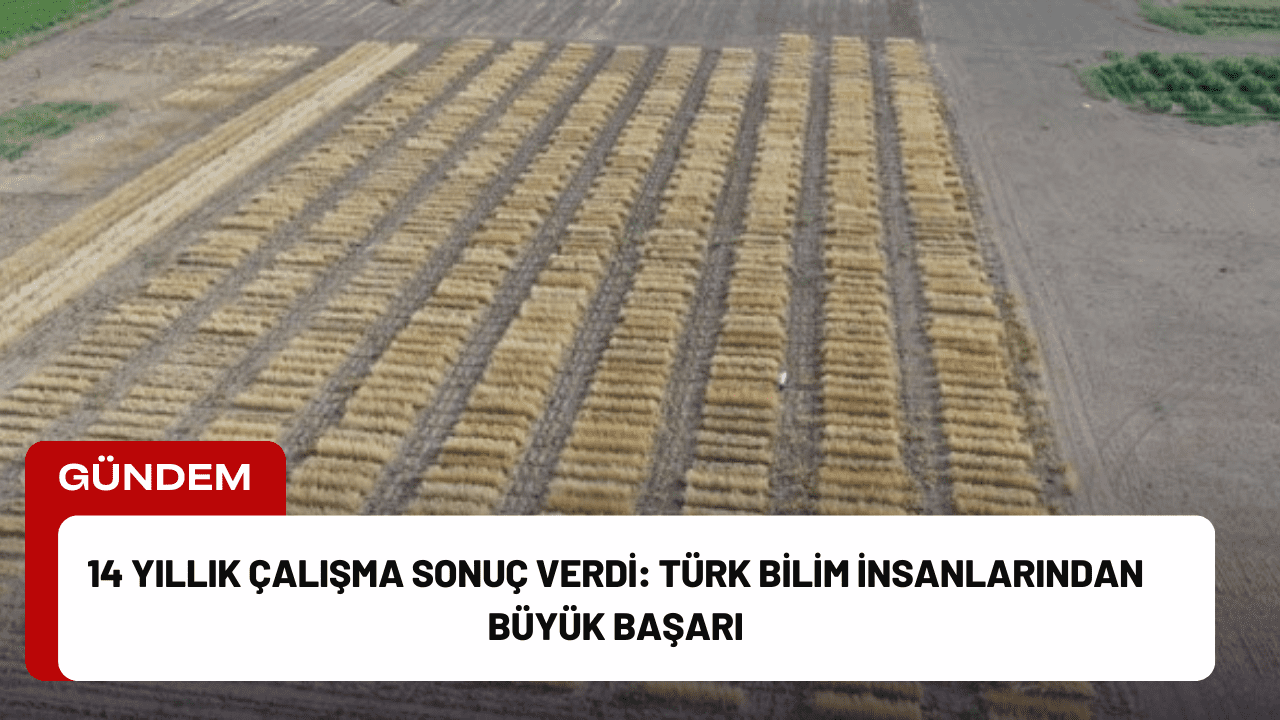 14 Yıllık Çalışma Sonuç Verdi: Türk Bilim İnsanlarından Büyük Başarı