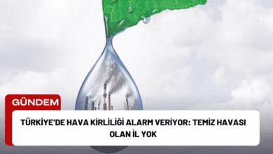 Türkiye’de Hava Kirliliği Alarm Veriyor: Temiz Havası Olan İl Yok